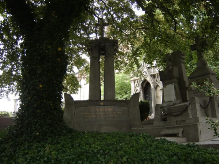 Graf Jan Frans Willems